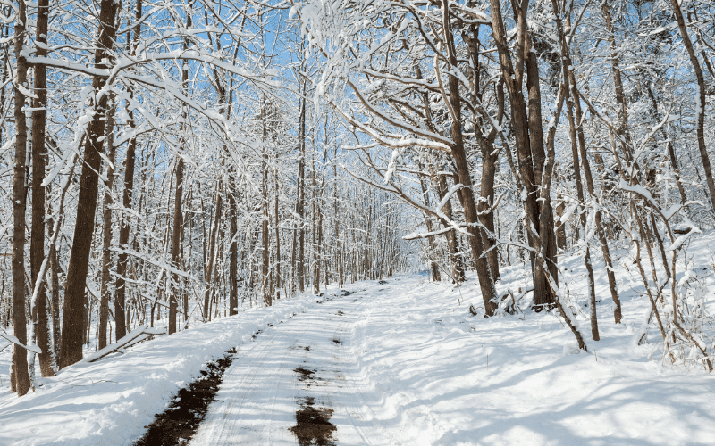 Winter Getaway in Maine by Cottages of Maine